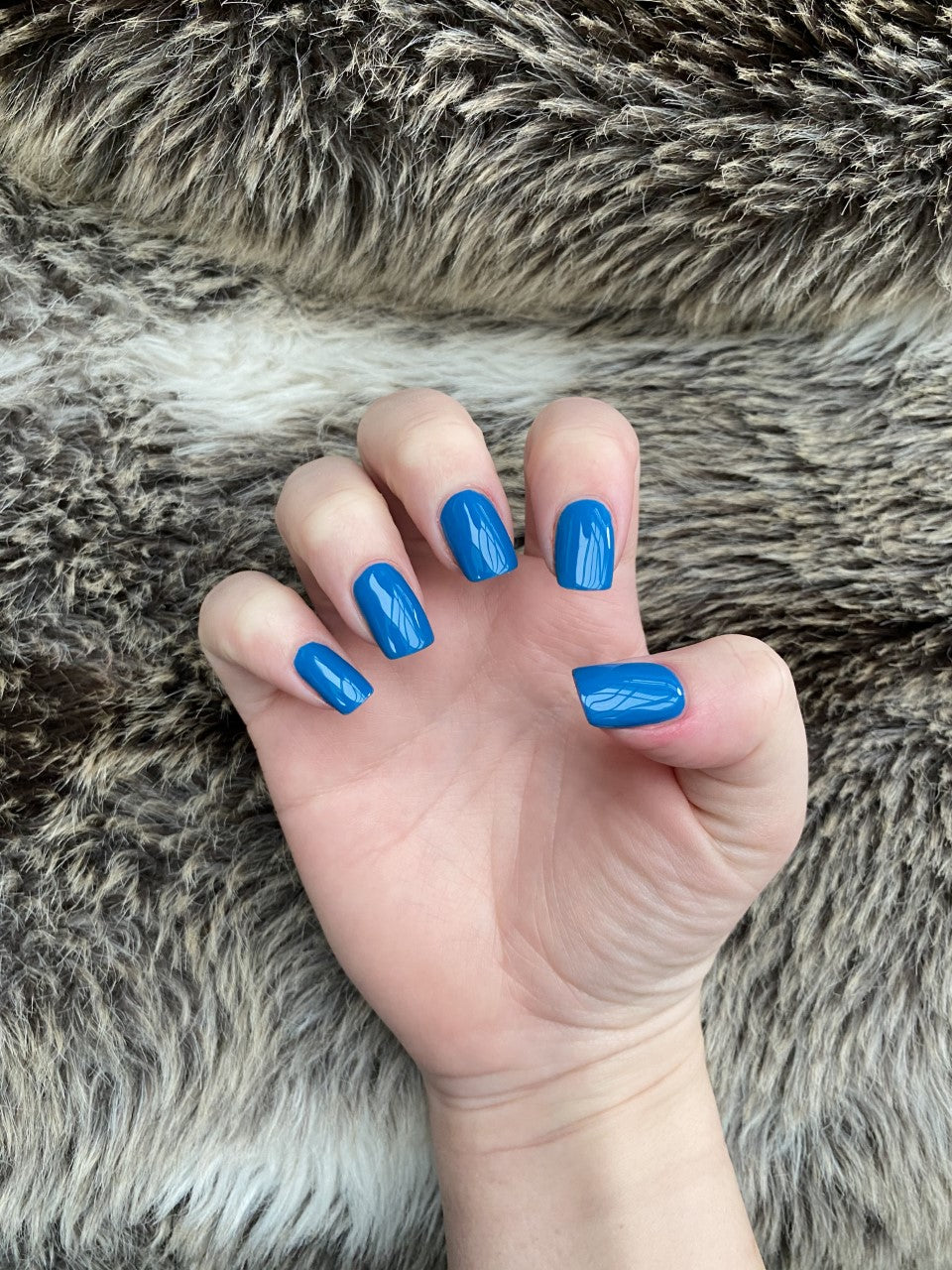 TEAL FEELS