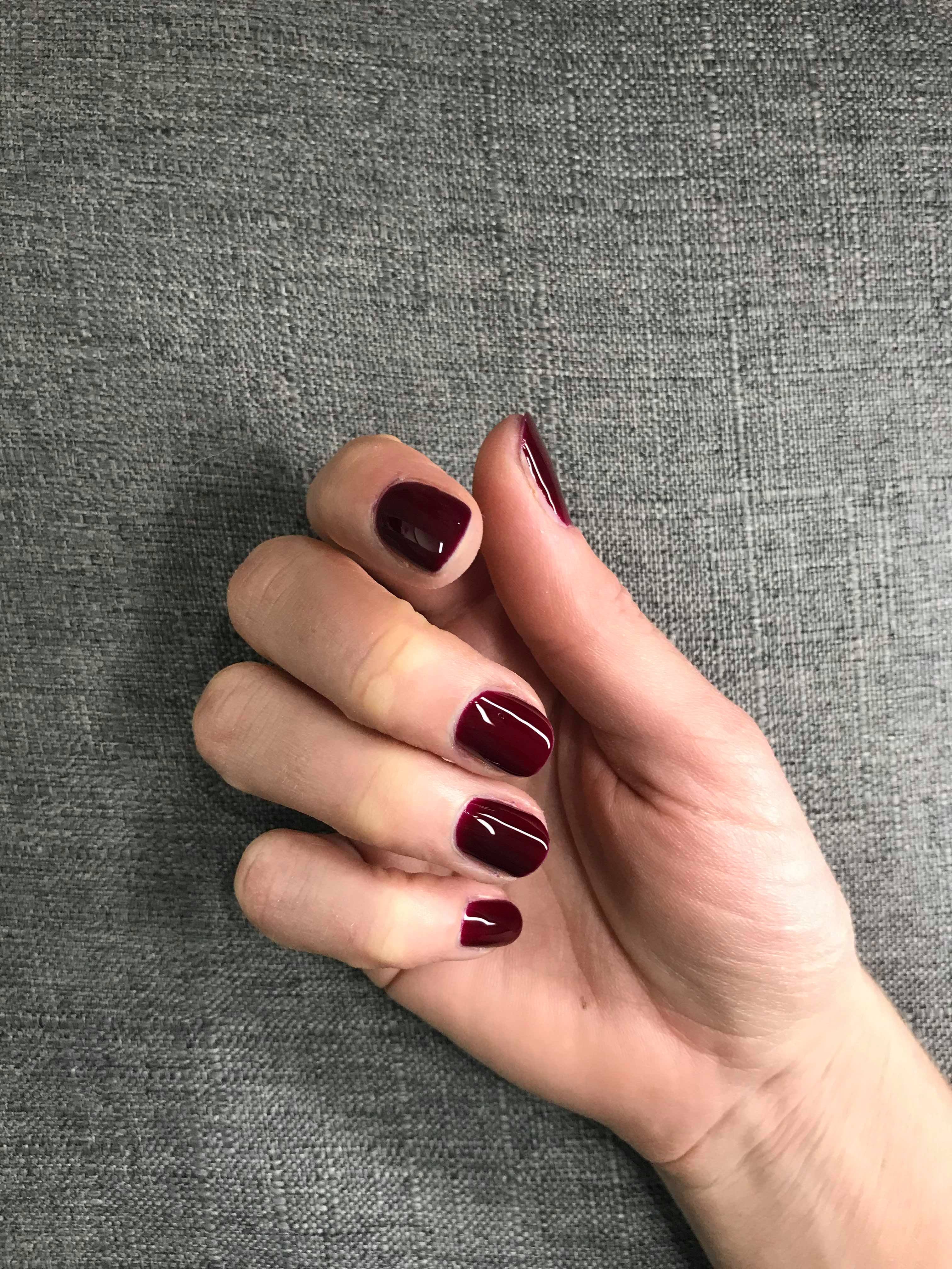 Gelicious - The New Range - Burgandy