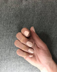 Gelicious - The New Range - Peach