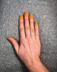 Gelicious Orange Sherbet
