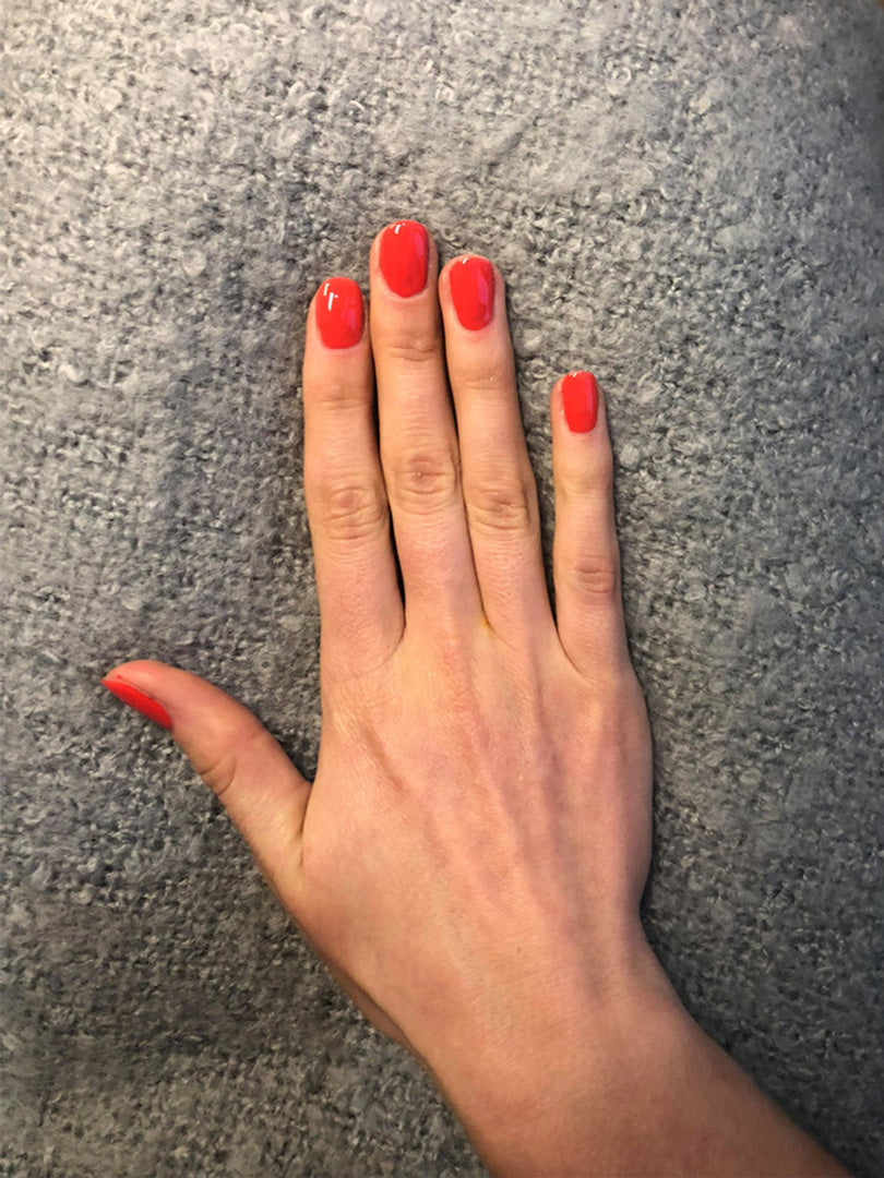 Gelicious  Palmie